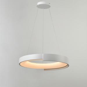 Indoor LED Pendant Light Modern Hanging lighting