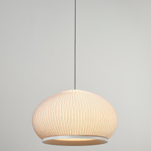 Nordic modern minimalist design Pendant Hanging lamp