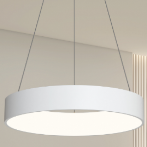 LED Modern Pendant Light Indoor Decoration Lighting